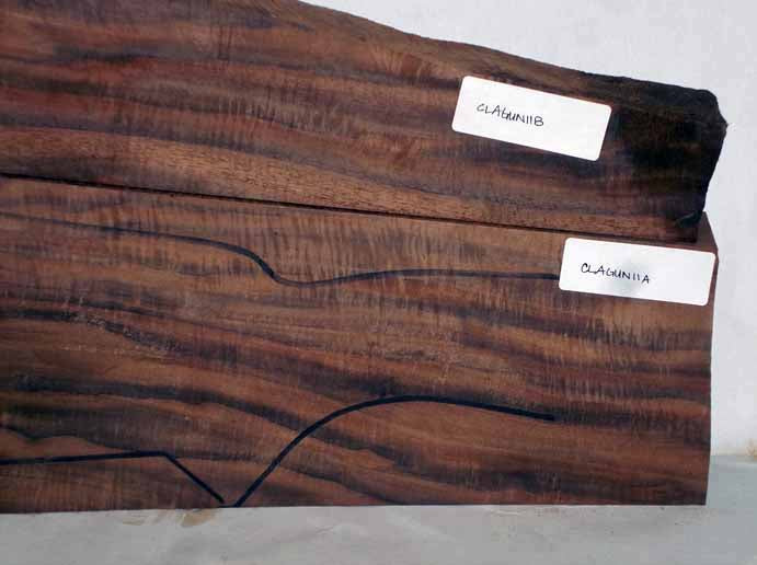 Claro Walnut Gunstock CLAGUN11A2