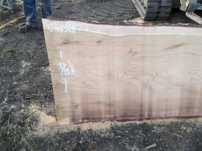 Cedar Slab CEDSLB2I