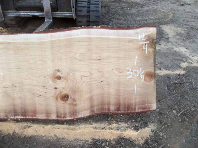 Cedar Slab CEDSLB2I