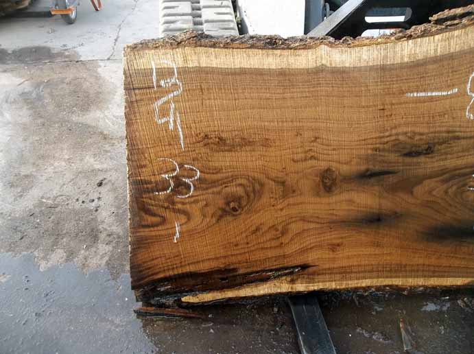 Walnut Slab WALSLB63E