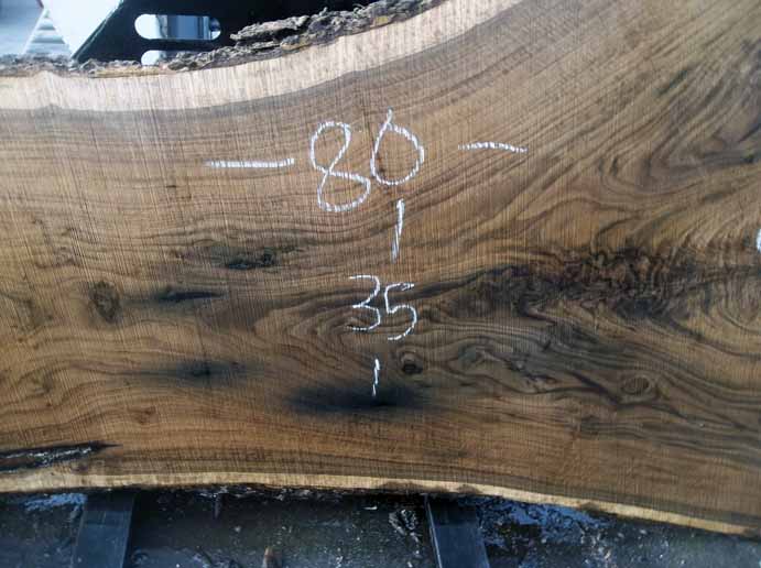 Walnut Slab WALSLB63E