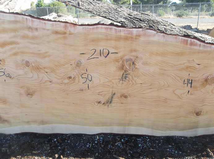 Cedar Slab CEDSLB03A