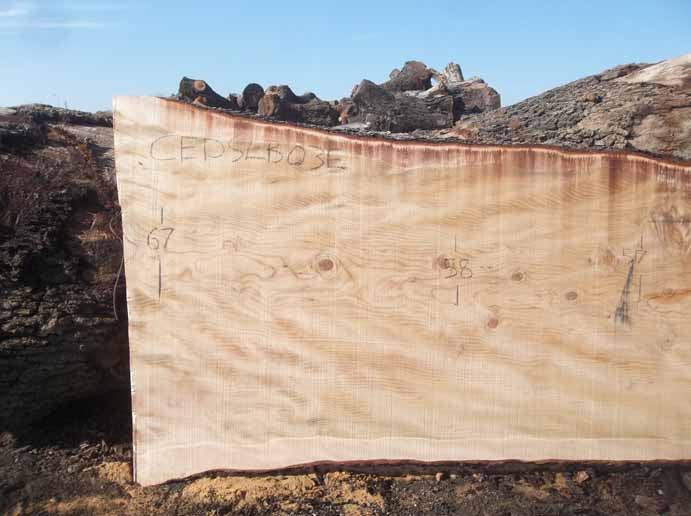 Cedar Slab CEDSLB03E