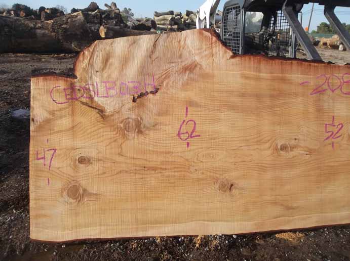 Cedar Slab CEDSLB03H