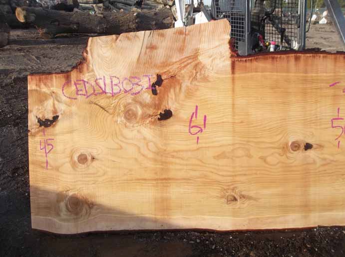 Cedar Slab CEDSLB03I