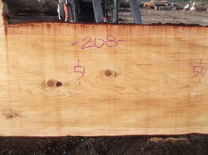 Cedar Slab CEDSLB03I