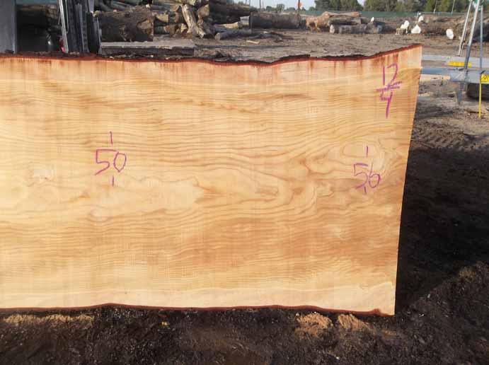 Cedar Slab CEDSLB03I