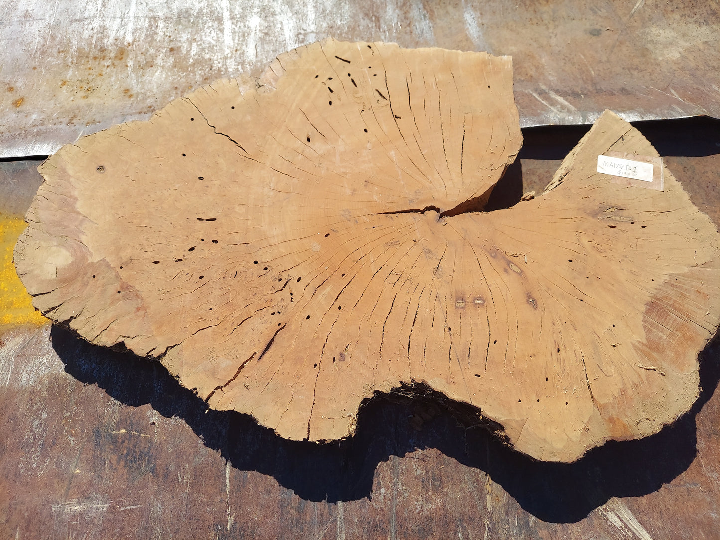 Madrone Slab MADSLBS1