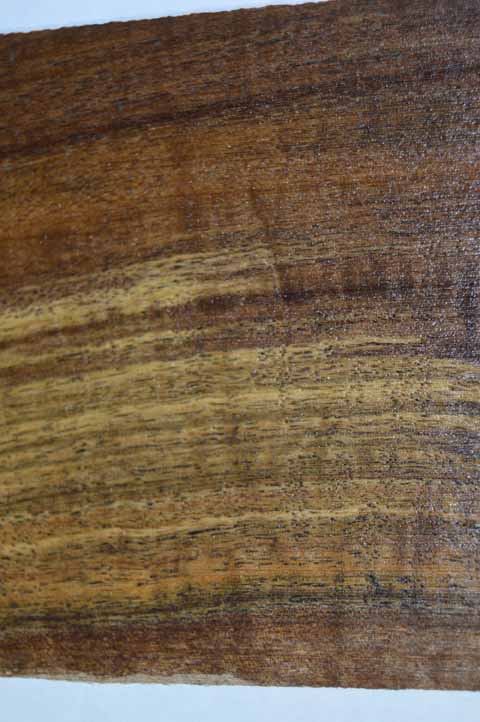 Claro Walnut Tonewood WALTON7