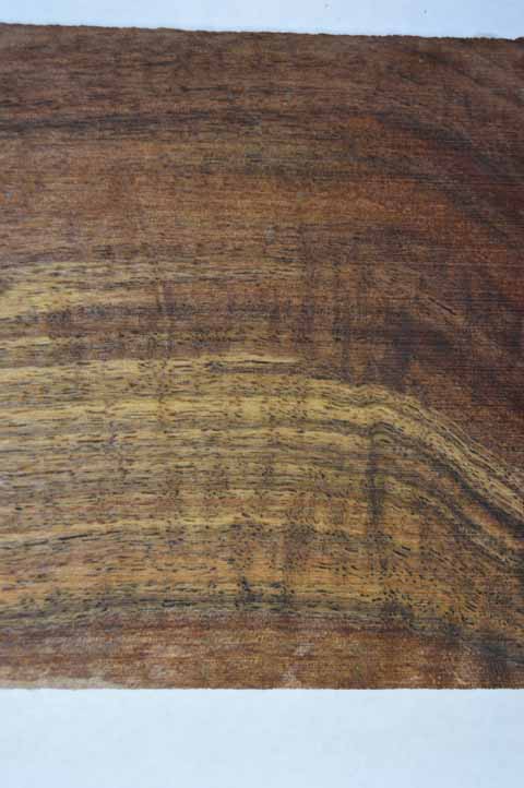 Claro Walnut Tonewood WALTON7