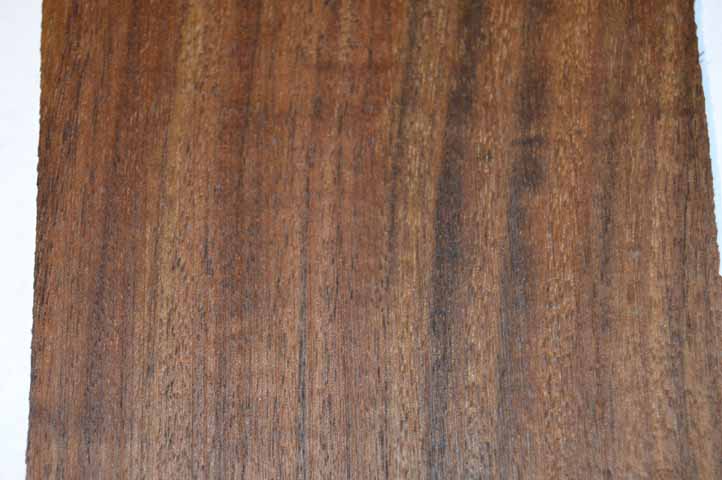 Claro Walnut Tonewood WALTON8