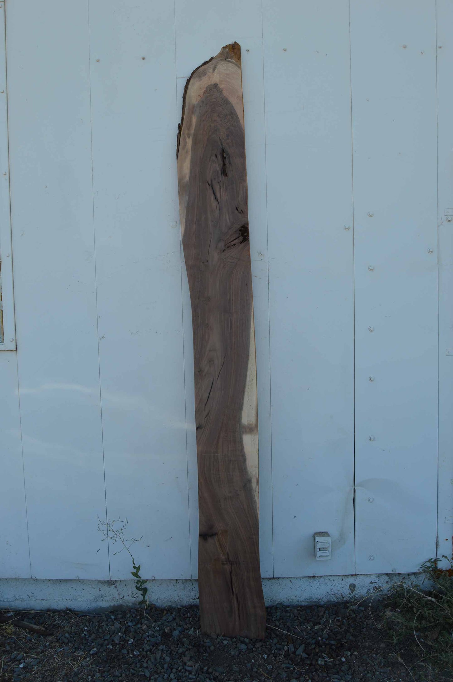 Rustic Shelf Furniture Art Knife Scale Walnut Lumber WALLMB65