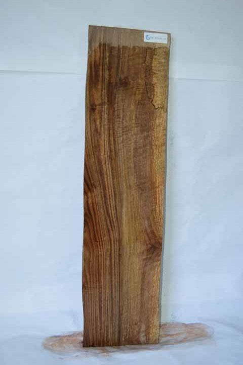 Bastogne Walnut Specialty Piece WALSPC205