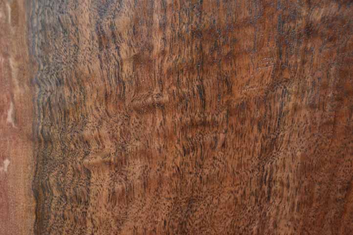 Claro Walnut Tonewood WALTON19