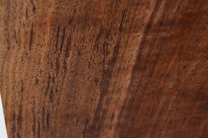 Claro Walnut Tonewood WALTON19