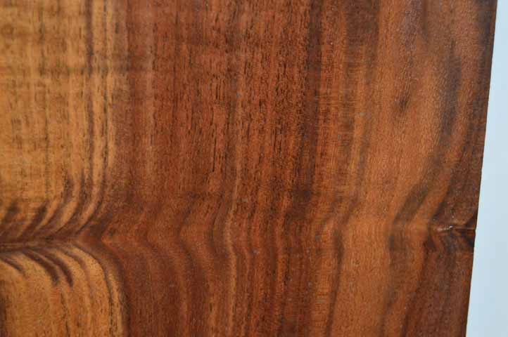 Claro Walnut Tonewood WALTON26