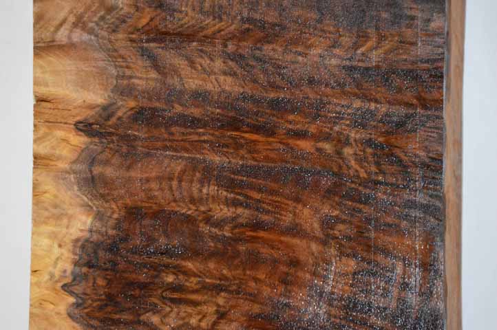 Claro Walnut Tonewood WALTON30