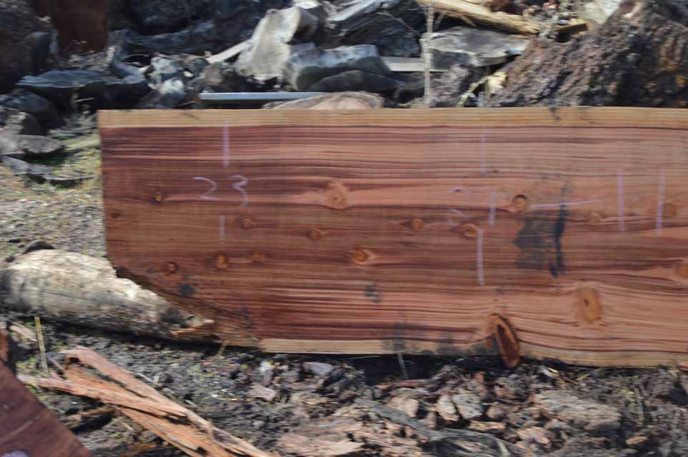 Redwood Slab REDSLB10E
