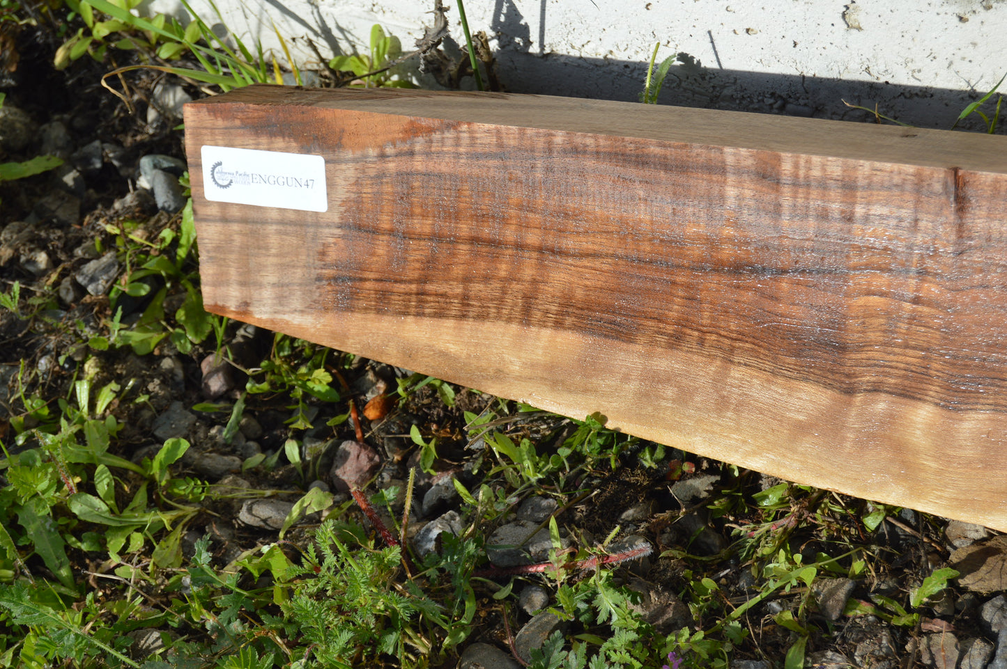 English Walnut Gunstock Blank ENGGUN47