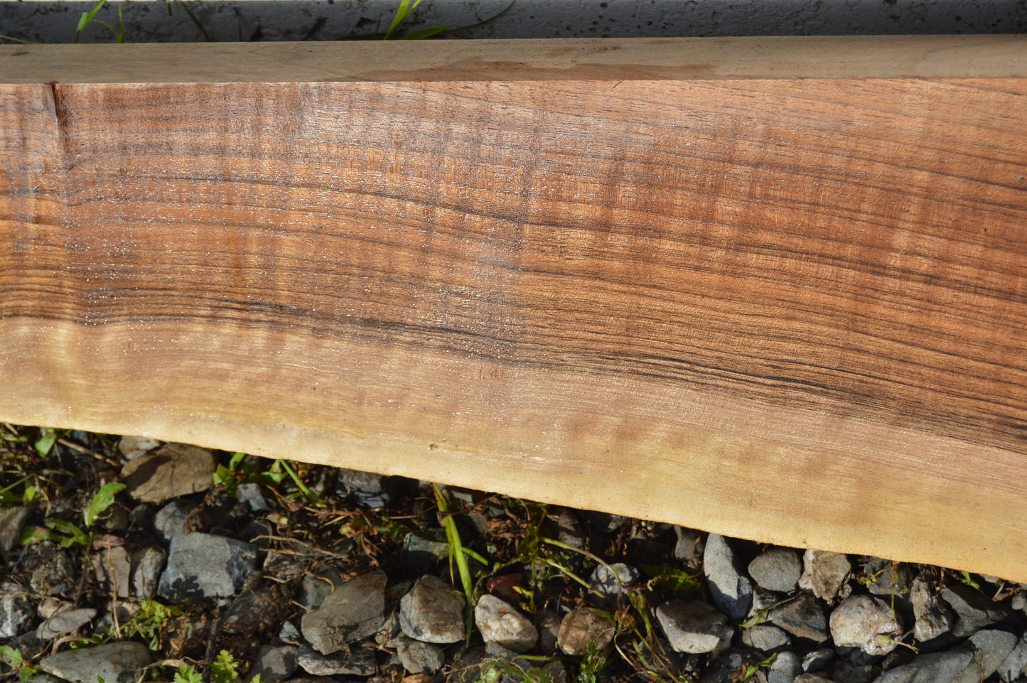 English Walnut Gunstock Blank ENGGUN47