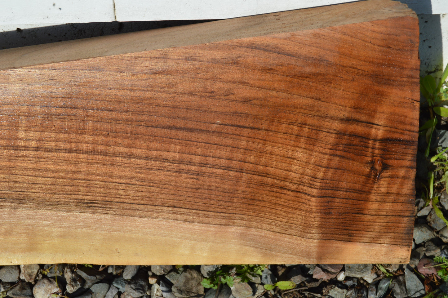 English Walnut Gunstock Blank ENGGUN47
