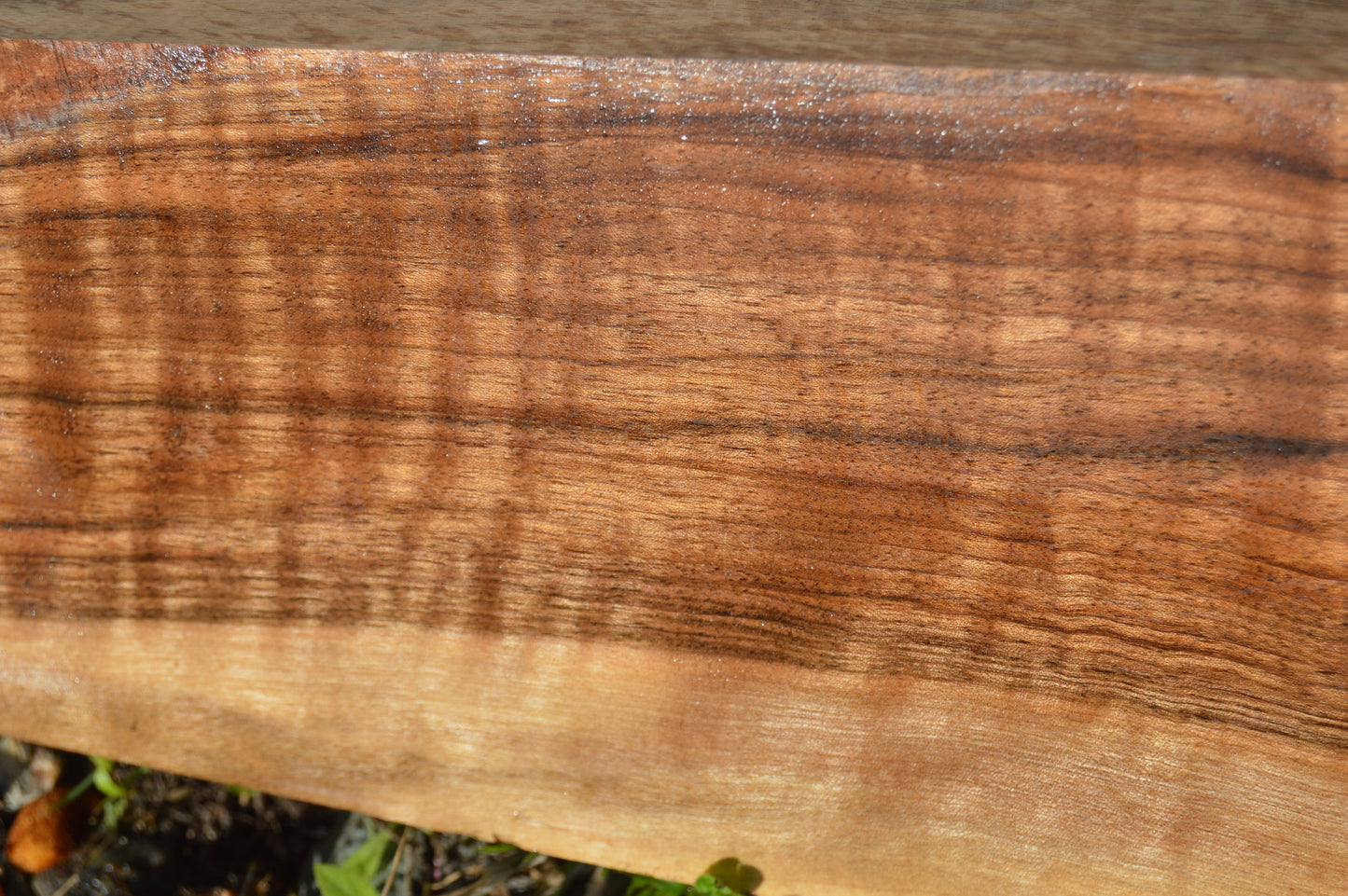 English Walnut Gunstock Blank ENGGUN47