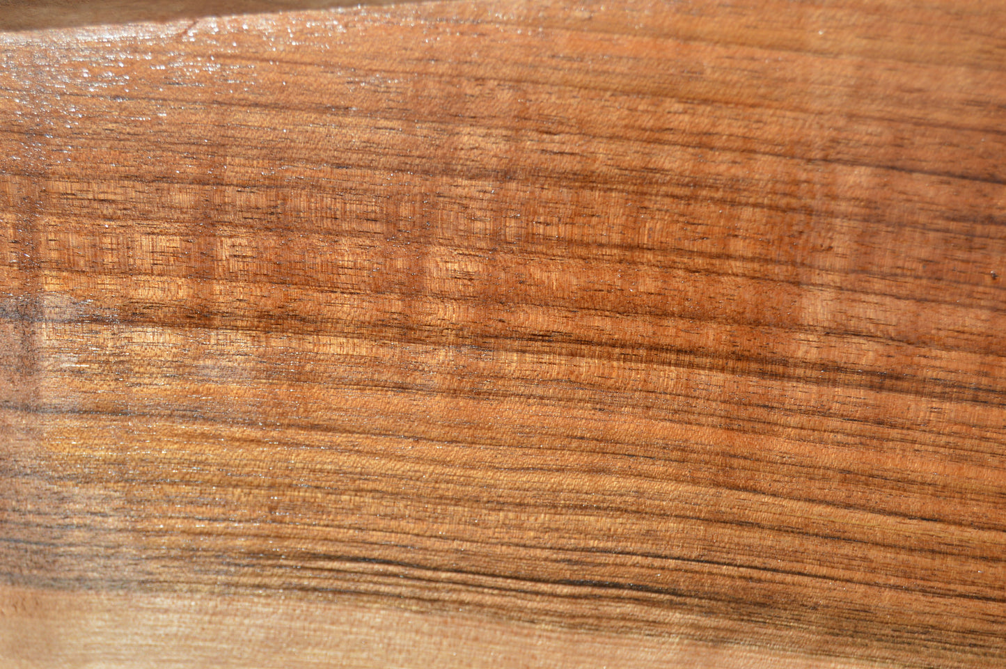 English Walnut Gunstock Blank ENGGUN47