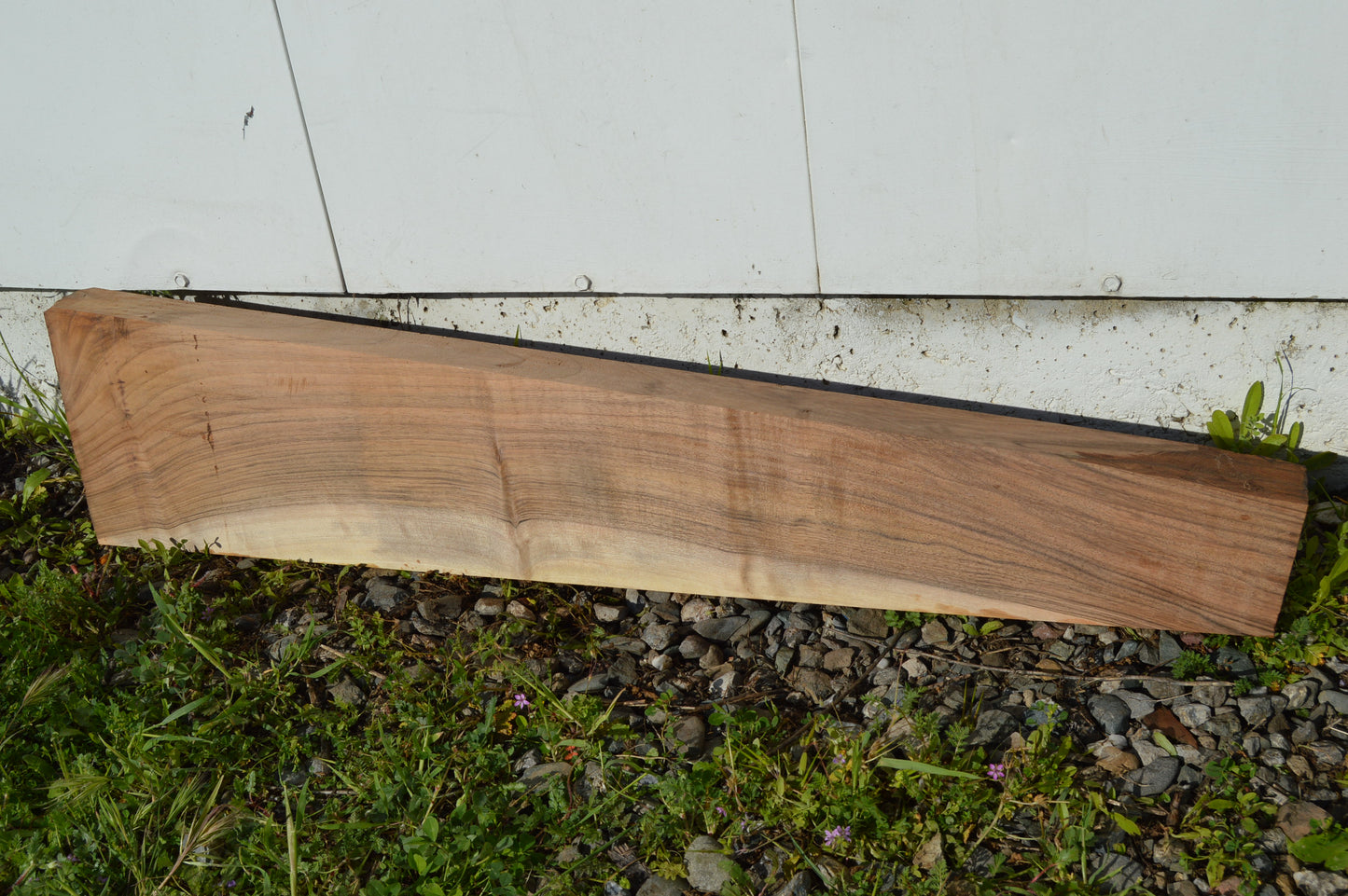 English Walnut Gunstock Blank ENGGUN47