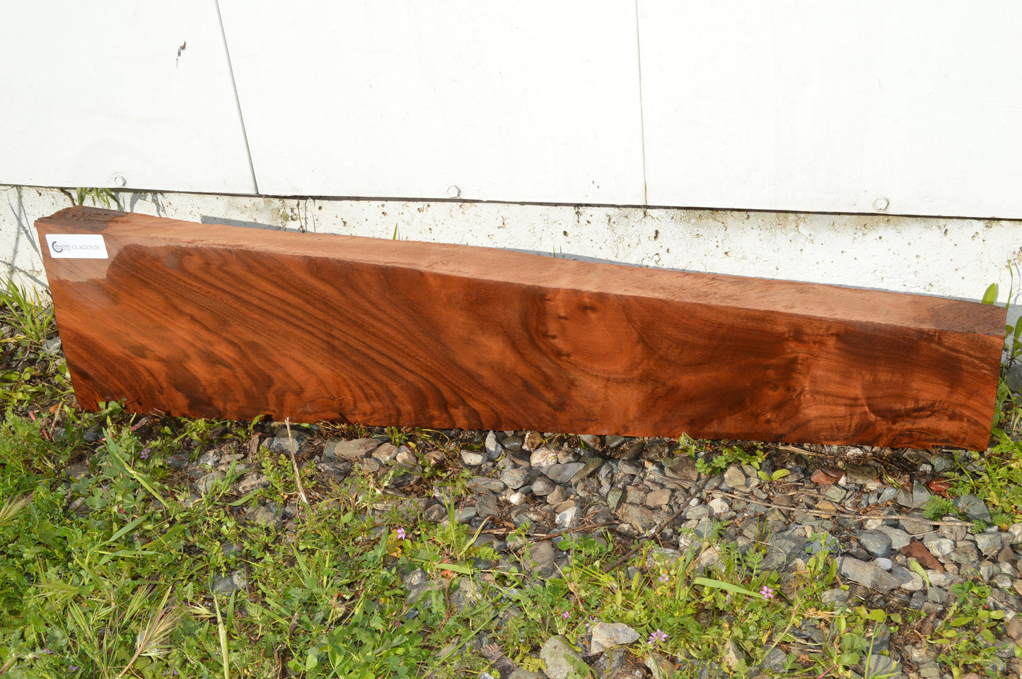 Claro Walnut Gunstock Blank CLAGUN25