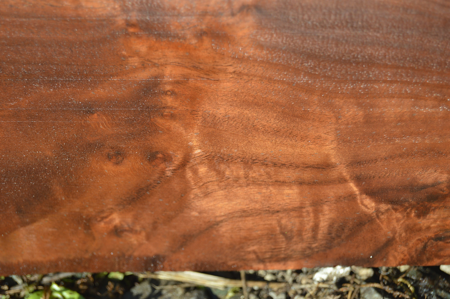 Claro Walnut Gunstock Blank CLAGUN25