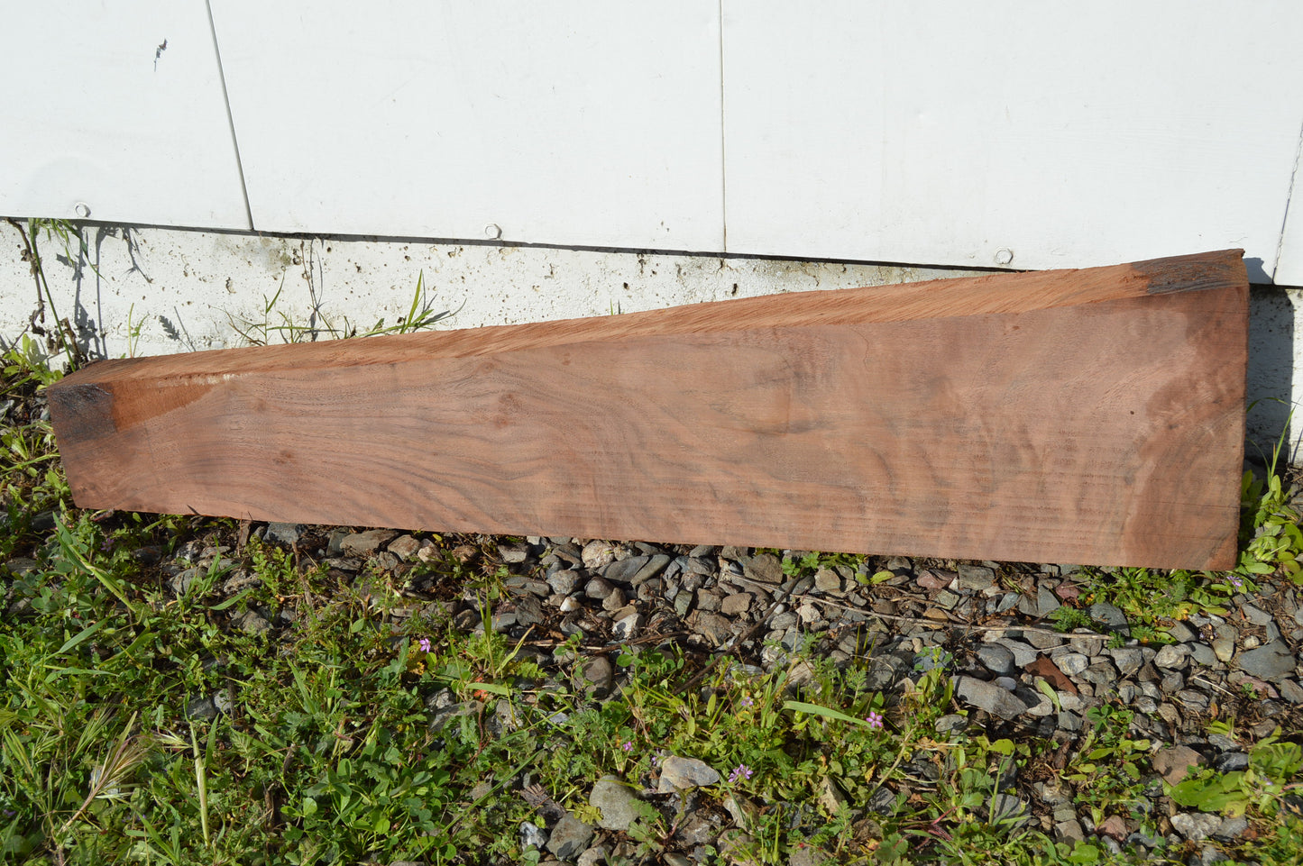 Claro Walnut Gunstock Blank CLAGUN25
