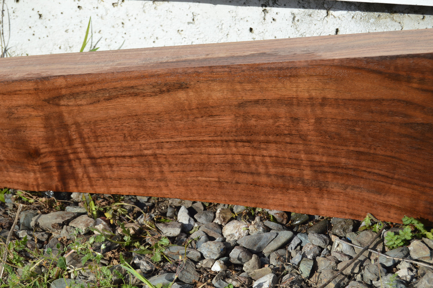 Claro Walnut Gunstock Blank CLAGUN27