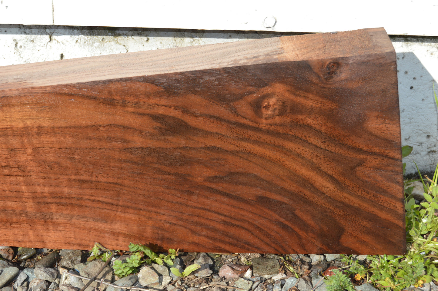 Claro Walnut Gunstock Blank CLAGUN27