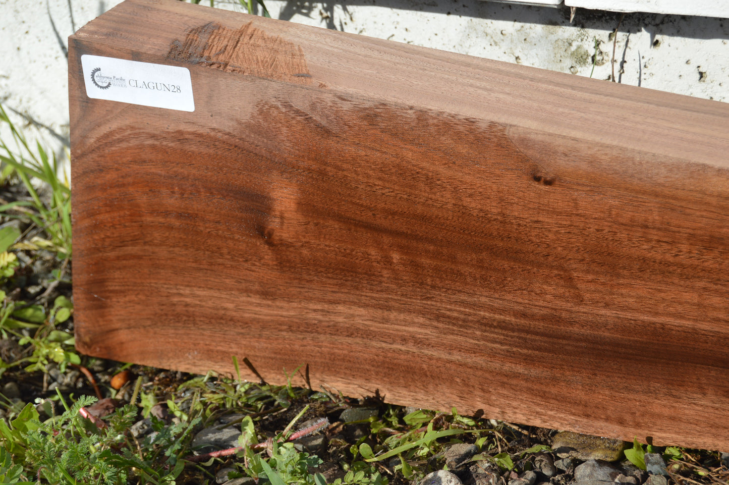 Claro Walnut Gunstock Blank CLAGUN28