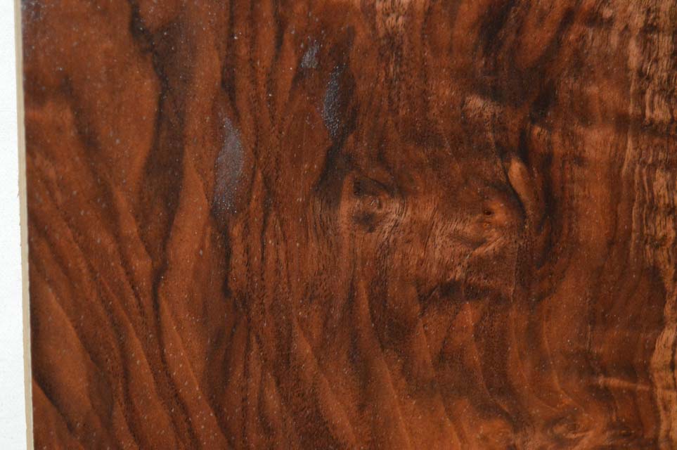 Claro Walnut Billet WALTON42