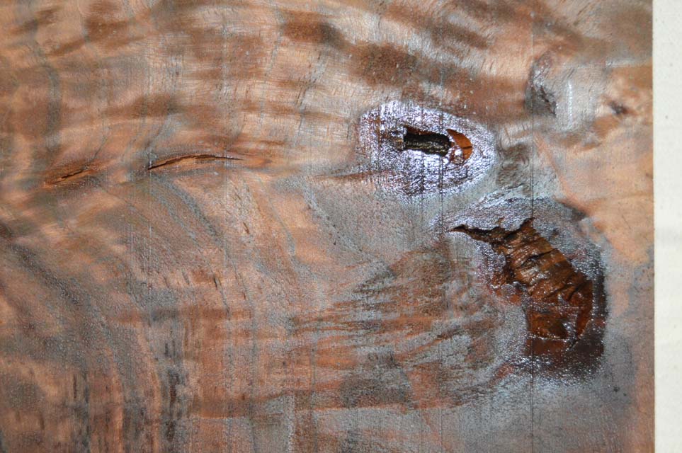 Claro Walnut Billet WALTON50