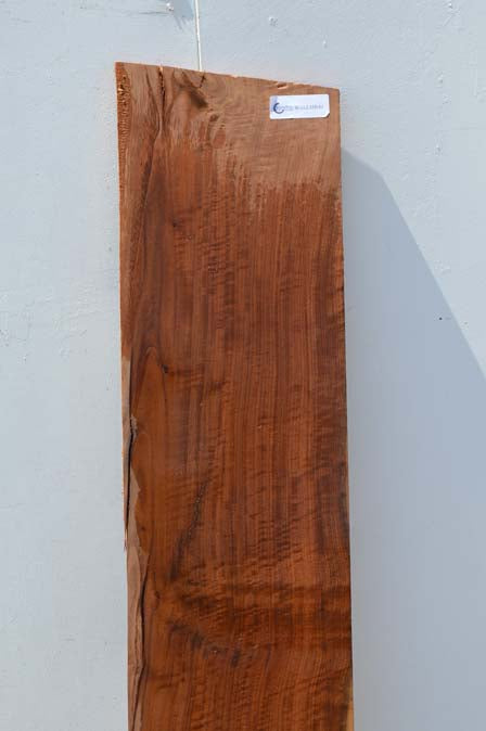 Claro Walnut Board WALLMB49