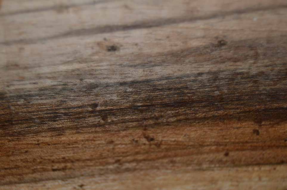 English Walnut Gunstock Blank ENGGUN86