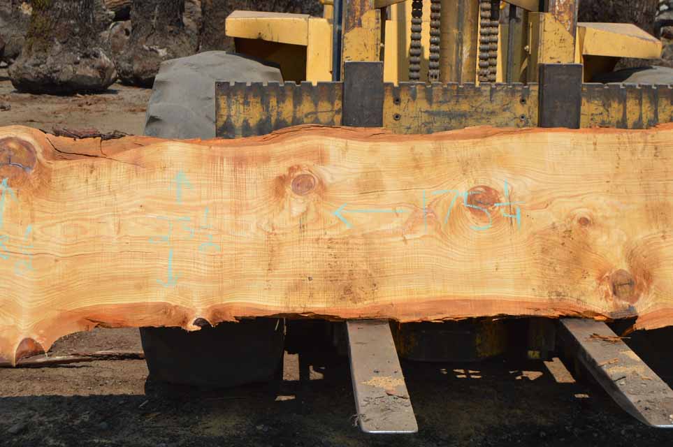 Cedar Slab CEDSLB10A