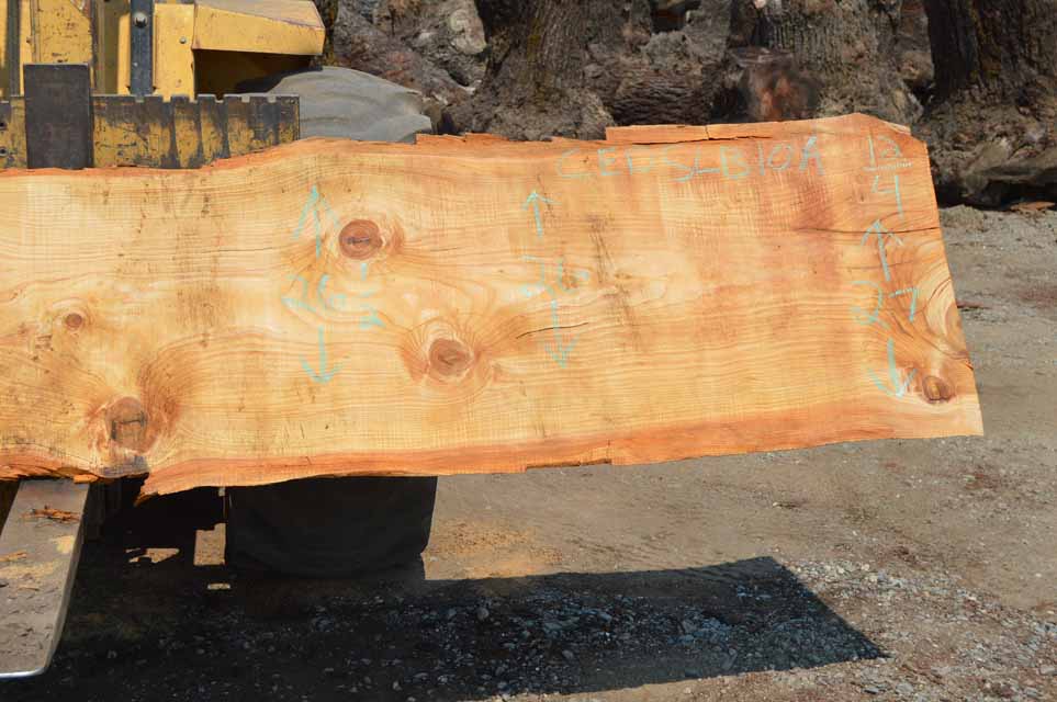 Cedar Slab CEDSLB10A