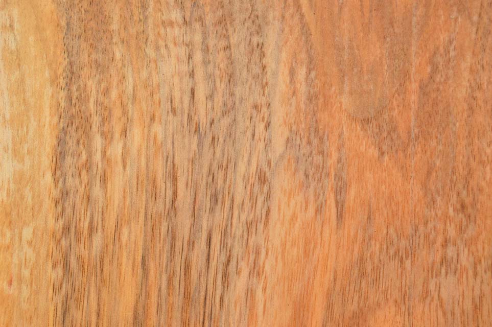 English Walnut Board WALLMB90