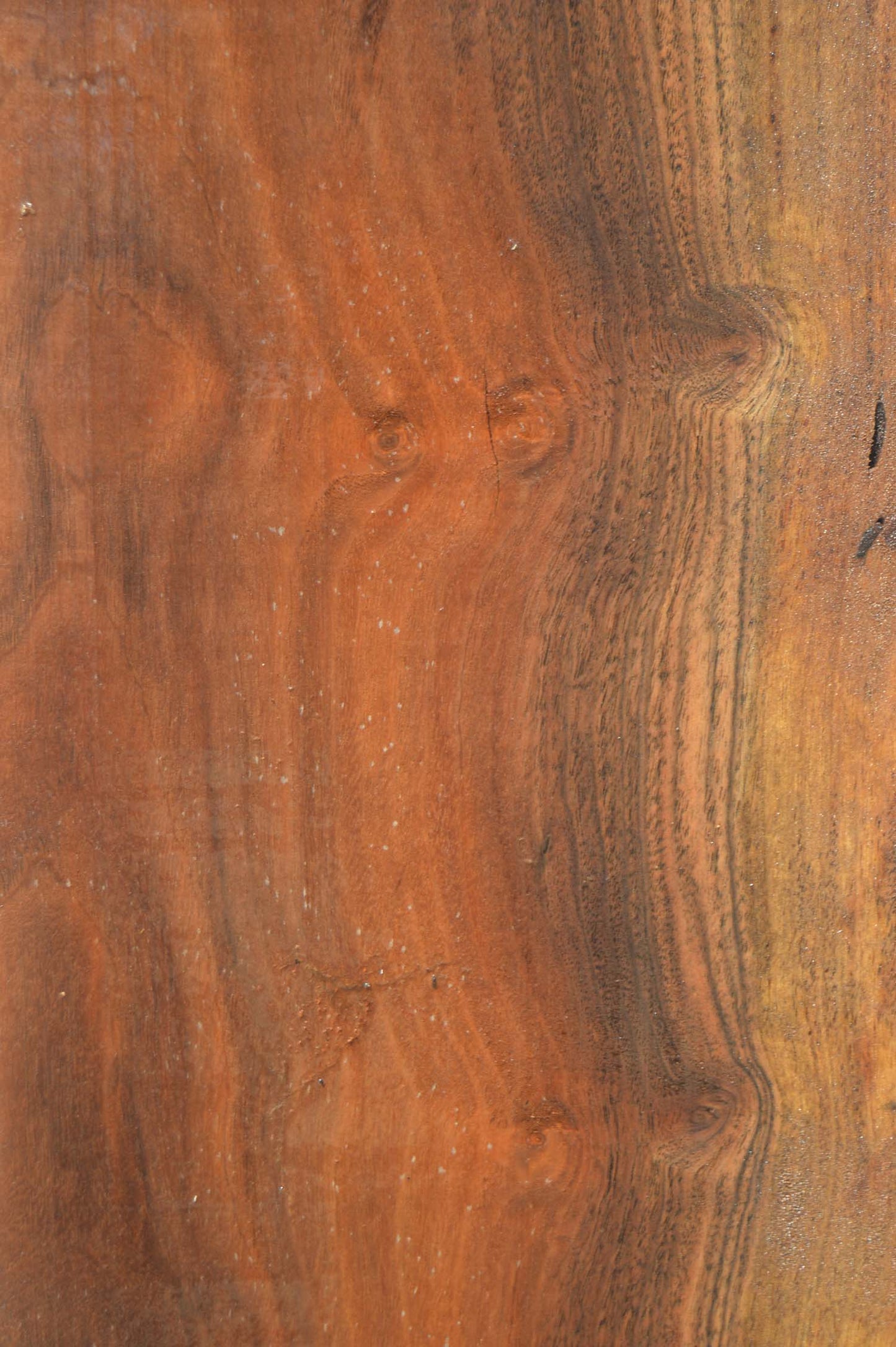 Claro Walnut Lumber CLALMB203
