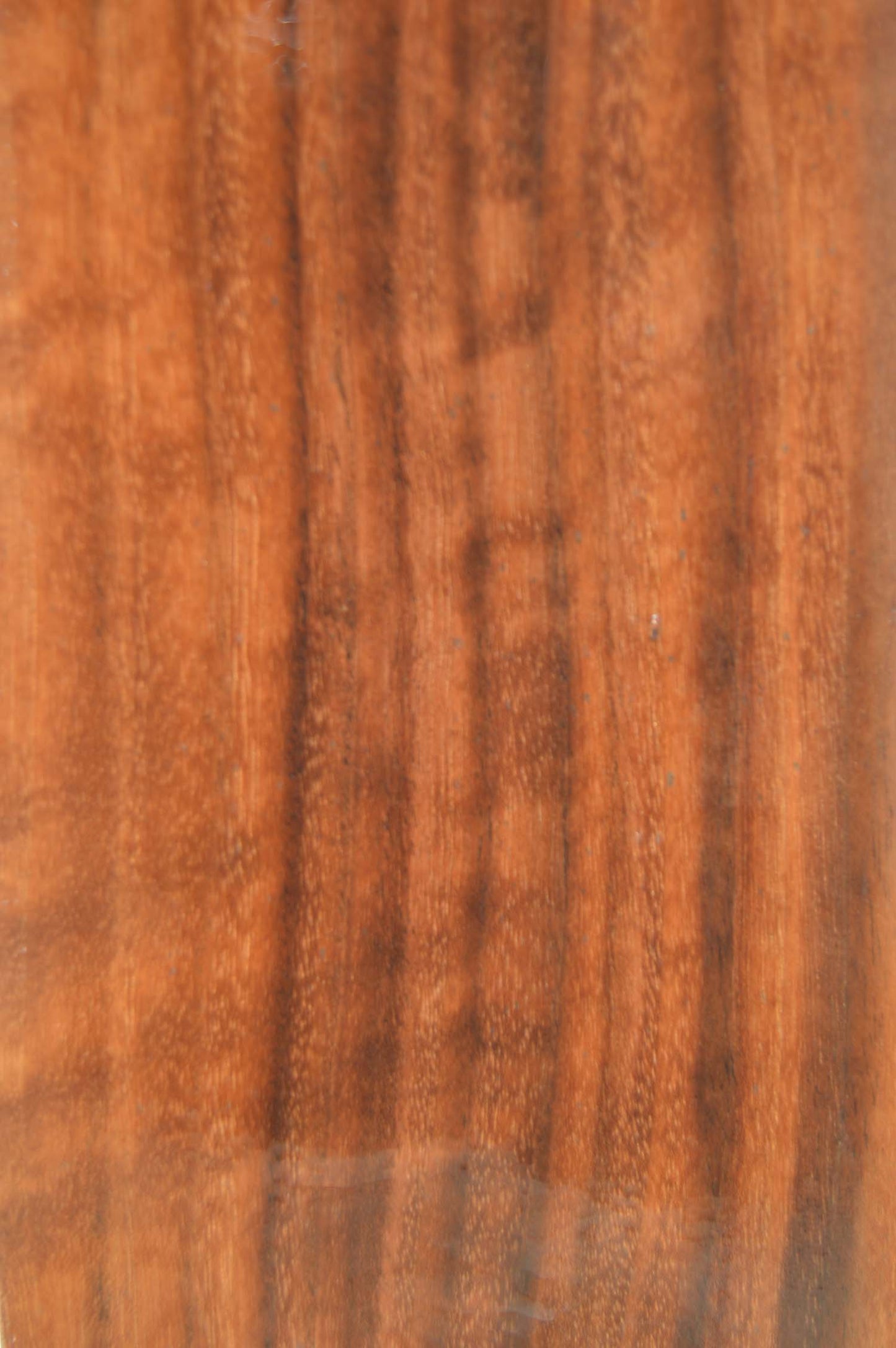 Claro Walnut Lumber CLALMB205