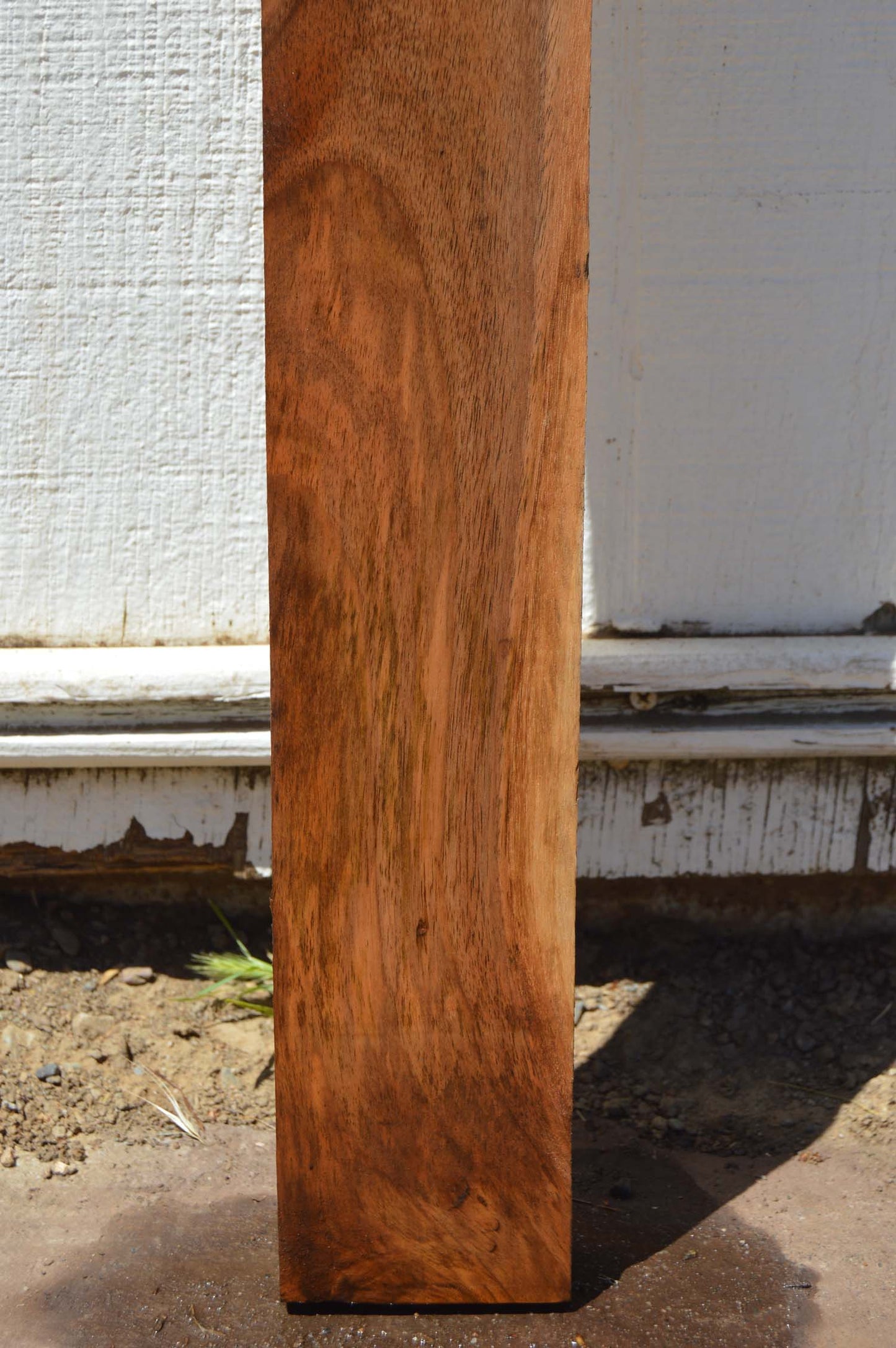 English Walnut Specialty Piece ENGSPC45