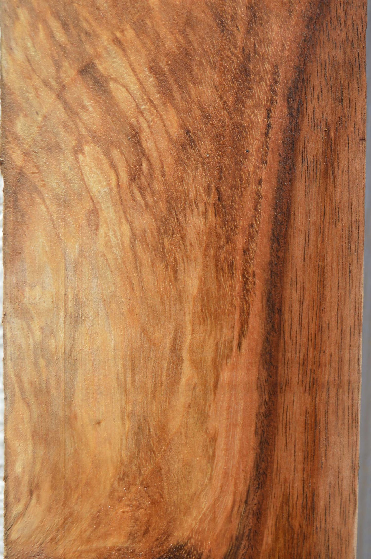 English Walnut Specialty Piece ENGSPC45