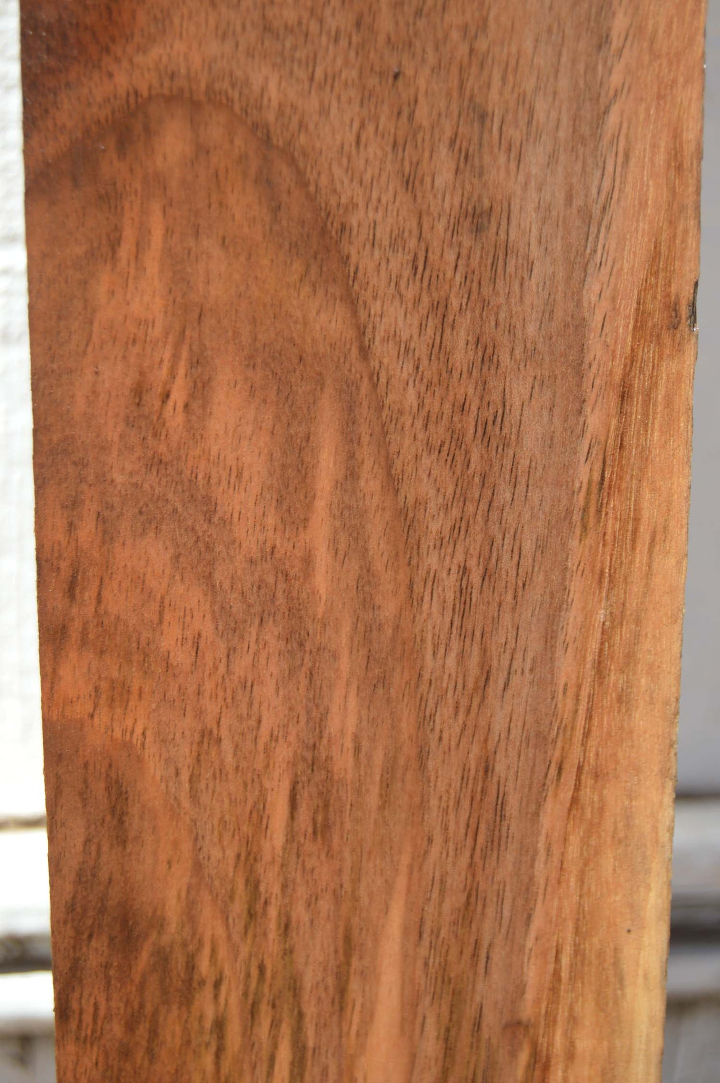 English Walnut Specialty Piece ENGSPC45