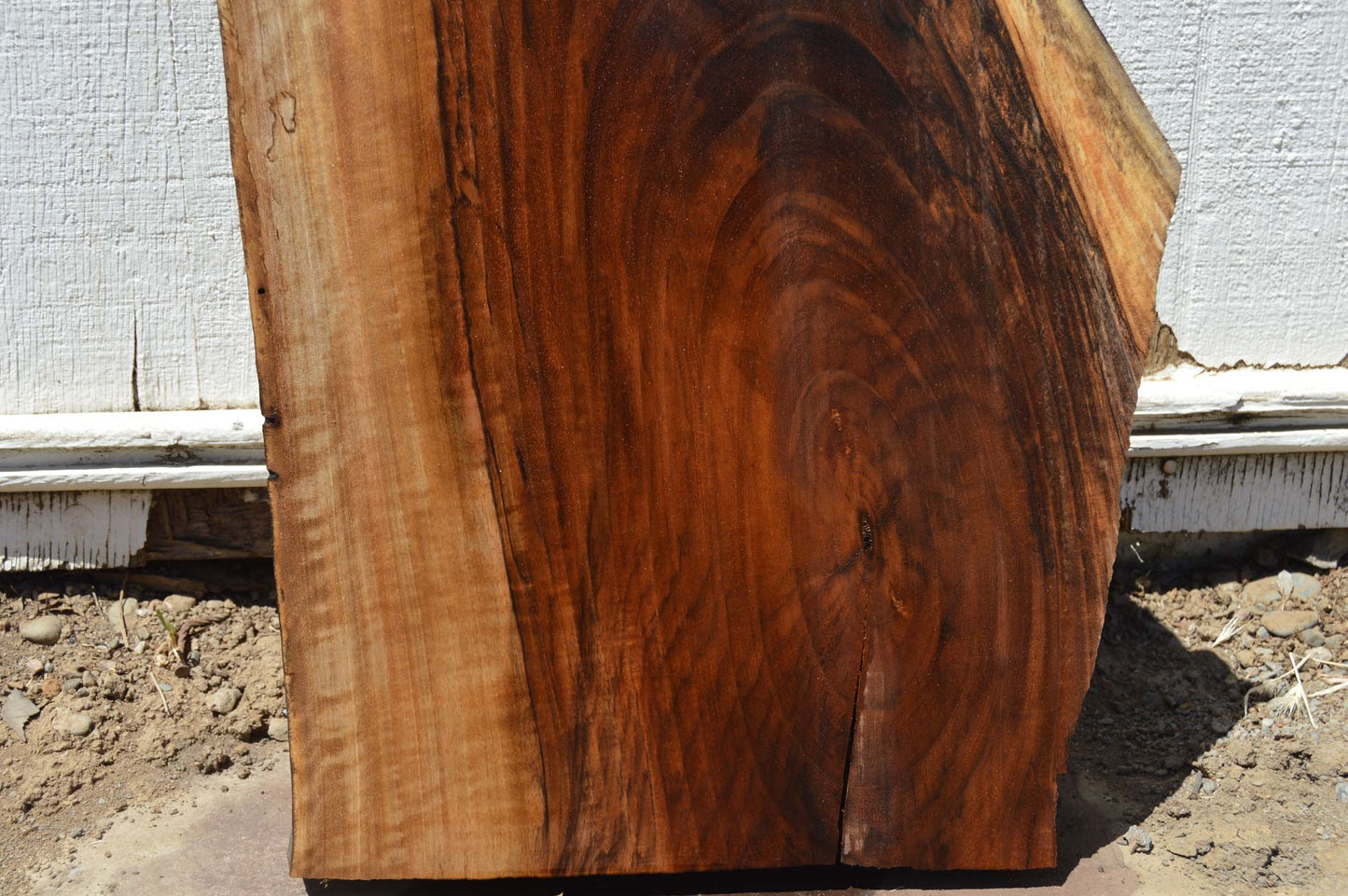 English Walnut Specialty Piece ENGSPC46