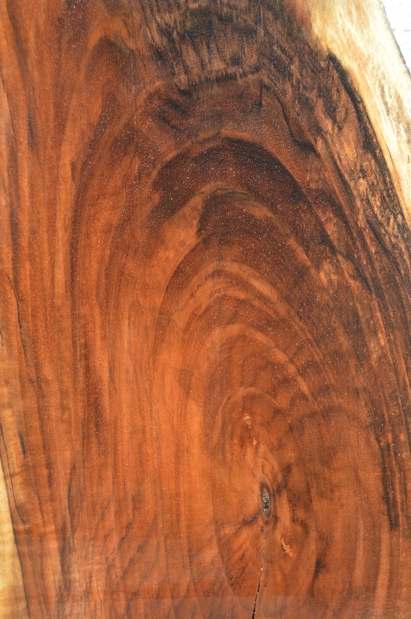 English Walnut Specialty Piece ENGSPC46