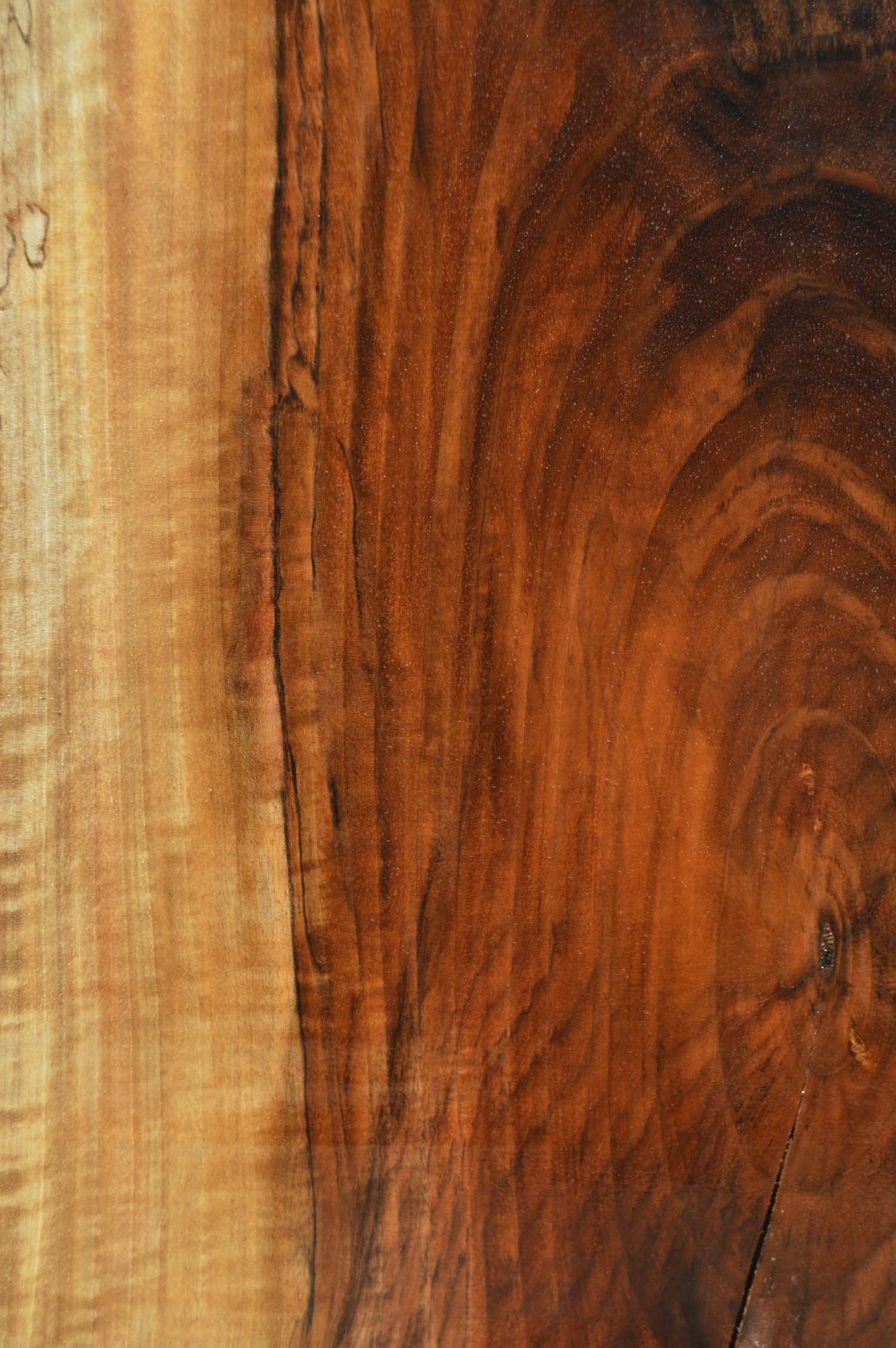English Walnut Specialty Piece ENGSPC46