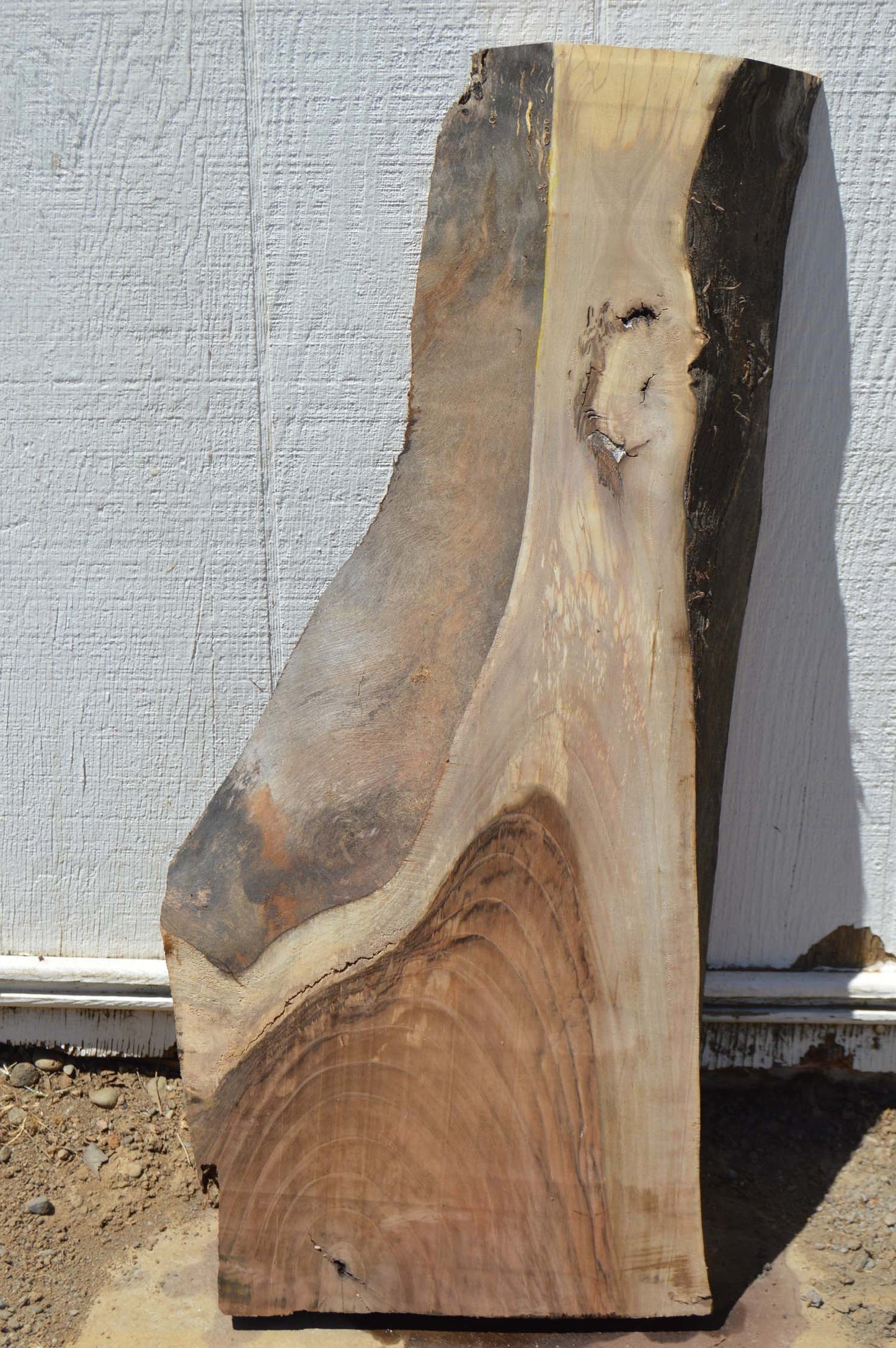 English Walnut Specialty Piece ENGSPC46
